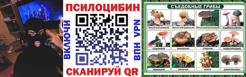 omg сайт Макушино Галлюциногенные грибы Cubensis